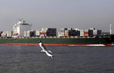 India, US Push To Futureproof Trade Ties