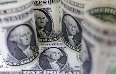 India not pushing for an alternative to US dollar