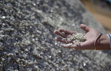 Hope Rises As China Processes Rare-Earths Requests