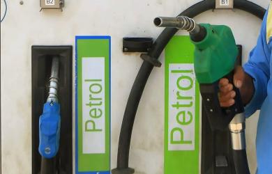 'Efficiency of E20 is more or less on a par with petrol'