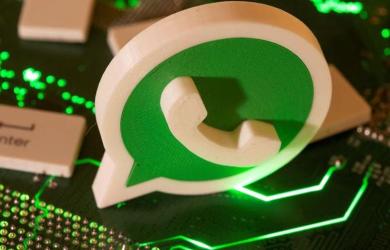CCI to NCLAT: No player close to WhatsApp in terms of revenue, assets