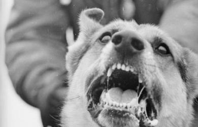 5 pm News Flash – February 26, 2026