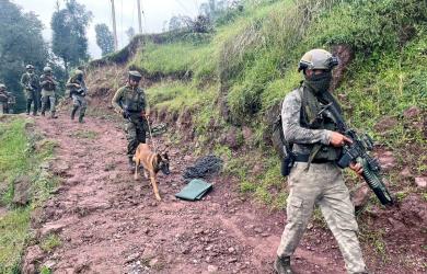 BSF foils infiltration in J-K's Kathua, guns down Pak intruder