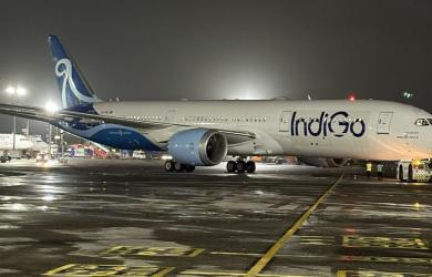 IndiGo bans passenger who slapped co-flier mid-flight