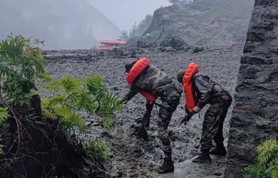 NDRF deploys cadaver dogs in Uttarakhand rescue