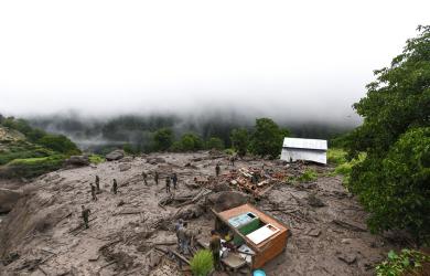 'Illegal felling of trees': SC takes note of landslides, floods