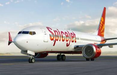 SpiceJet staffer's spine fractured after army man assault