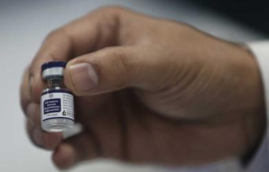 AdFalciVax Is India's Malaria Vaccine