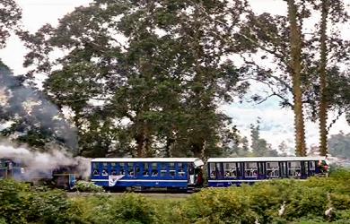 Mumbai SGNP's toy train gets Vistadome makeover, to chug again after 4 yrs