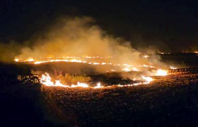 Stubble burning: Why can't some farmers be arrested, asks SC