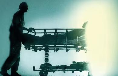 'Right To Die With Dignity Is A Fundamental Right'