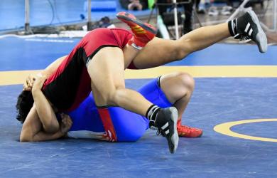 WFI suspends 11 wrestlers for submitting fake birth certificates