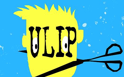 Budget And ULIPs: Should You Invest?