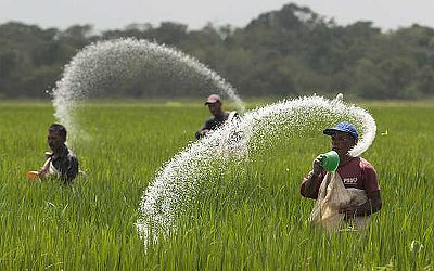 Fertiliser subsidy bill likely to double to Rs 3.4 trn in FY27