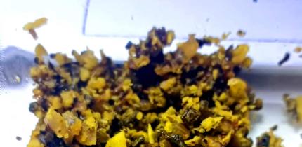 Recipe: Grated Karela With Coconut