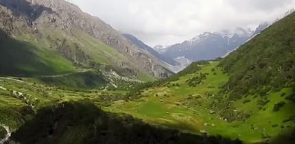 Delhi woman hides overnight in U'khand forest to escape rape bid