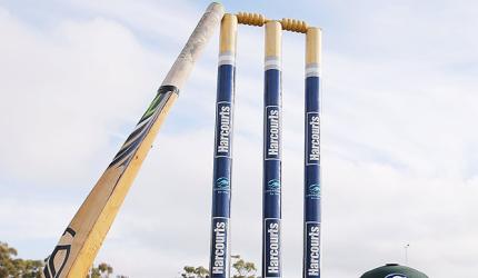 Umpire Dies After Bee Swarm Attack At Unnao Match