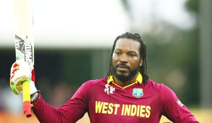 Cricket Buzz: Gayle is WI vice-captain for World Cup