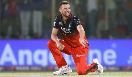 Hazlewood to join RCB ahead of IPL 2025 play-offs 
