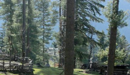 10 Most Stunning Cricket Grounds In The World