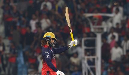 RCB stunned but Bobat hails brave fight