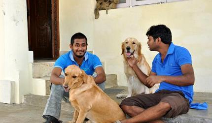 For the love of dogs