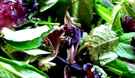 TOP 11: Super foods for weight loss