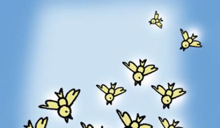 How to get more followers online