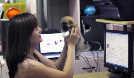 Top 9 hacks to motivate your employees