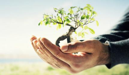 5 reasons why you should work in a start-up