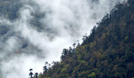 Pix: What a rainy holiday looks like