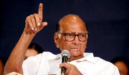 NCP in talks with parties to defeat BJP in Goa: Pawar