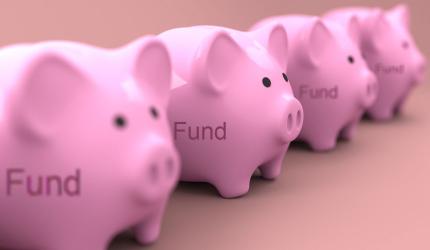 Which Mutual Fund Should You Invest In?