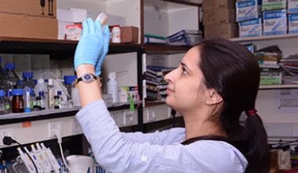 How to study PhD at the RCB