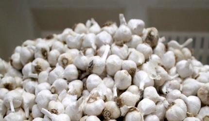 Who Eats The Most Garlic? These 7 Countries! India?
