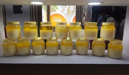 What India Ordered On Blinkit In 2025