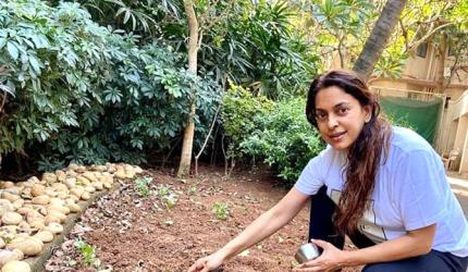 MumbaiU: Learn Astronomy, Drama, Gardening
