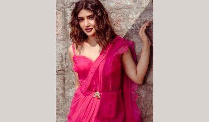 Sreeleela's Love Affair With Saris