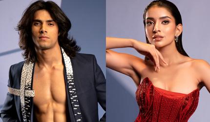 Want To See This Jodi In A Movie?