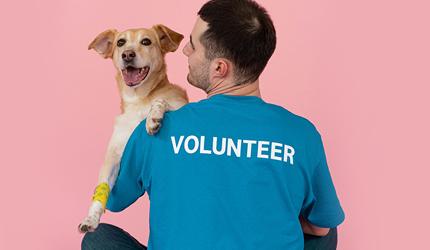 Ahimsa Fellowship: How To Earn A Rs 20K Stipend