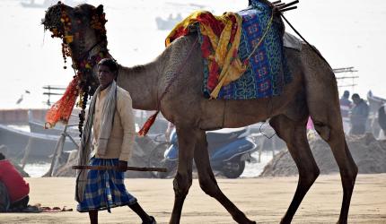 'Today's Traveller Is Driven More By...'