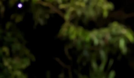 7 Recipes For India's All-Time Favourite -- Puris