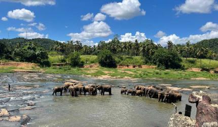 Sri Lanka: Paradiso For Travellers