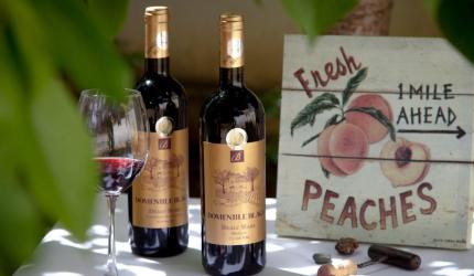 6 Nations That Drink The Most