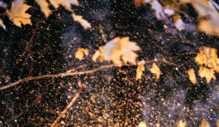 Fire Power: 8 Countries Owning The Most Guns