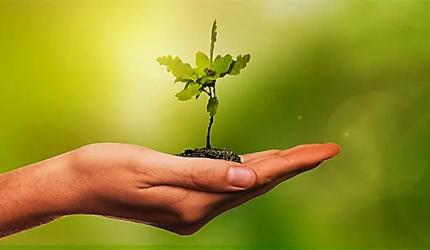 World Earth Day 2026: Why It Matters More Than Ever