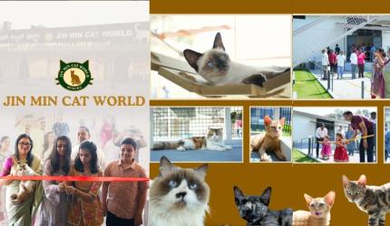 8 Most Unusual Museums In India