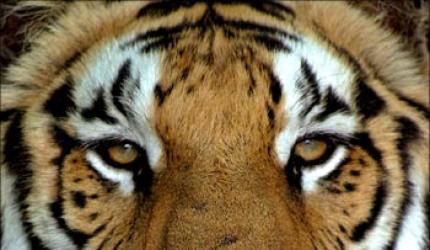 India set to become a $2-trillion economy!