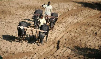 Budget 2012: Agriculture sector to get sops