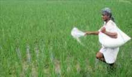 Budget 2012: Fertilizer to gain from tax benefits for investments